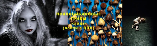 МДМА Бородино