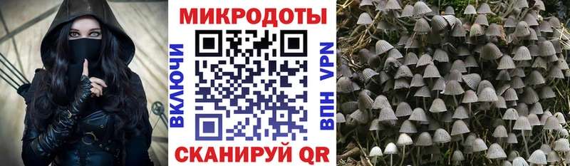 Галлюциногенные грибы MAGIC MUSHROOMS Орёл